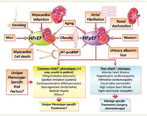 reduced ejection fraction vs preserved